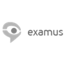Онлайн-прокторинг "Examus"